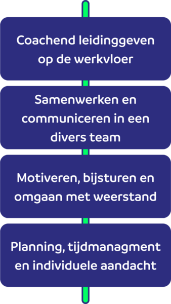 leerlijnen-leidinggeven-en-begeleiden